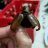 test123555
